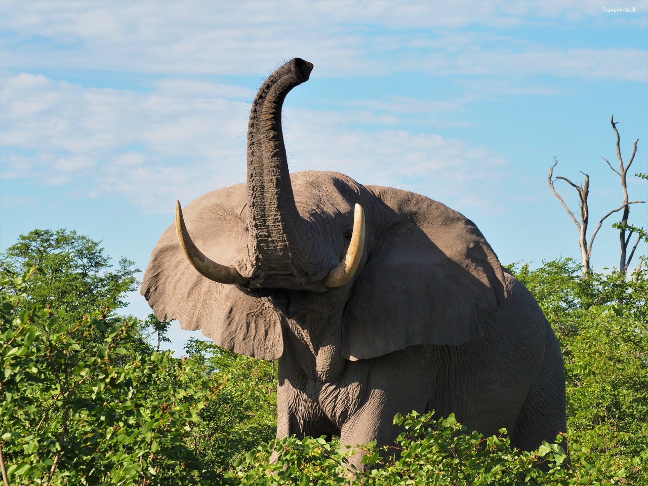 Reizen Botswana